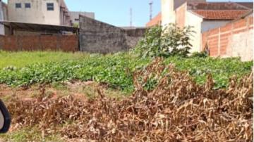 imagem 3 - Terreno - Padrão imagem 3 - Terreno - Padrão