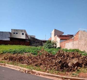 imagem 1 - Terreno - Padrão imagem 1 - Terreno - Padrão