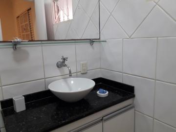 Alugar Casa / Padrão em São José do Rio Preto R$ 2.700,00 - Foto 17