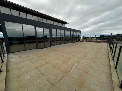 Alugar Comercial / Sala em São José do Rio Preto. apenas R$ 15.000,00