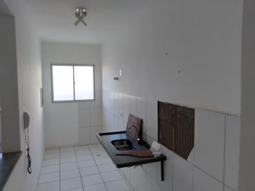 Alugar Apartamento / Cobertura em São José do Rio Preto R$ 1.200,00 - Foto 4