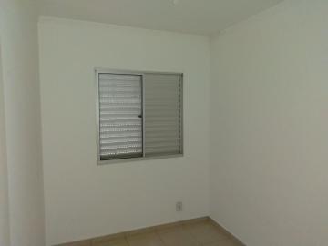 Alugar Apartamento / Cobertura em São José do Rio Preto R$ 1.200,00 - Foto 8
