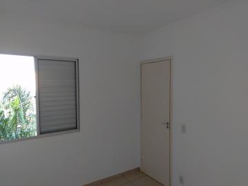 Alugar Apartamento / Cobertura em São José do Rio Preto R$ 1.200,00 - Foto 11