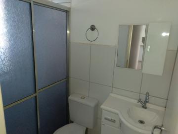 Alugar Apartamento / Cobertura em São José do Rio Preto R$ 1.200,00 - Foto 12