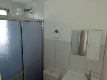 Alugar Apartamento / Cobertura em São José do Rio Preto R$ 1.200,00 - Foto 13