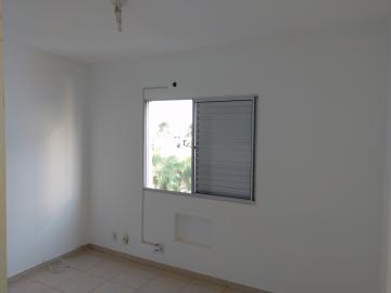 Alugar Apartamento / Cobertura em São José do Rio Preto R$ 1.200,00 - Foto 15