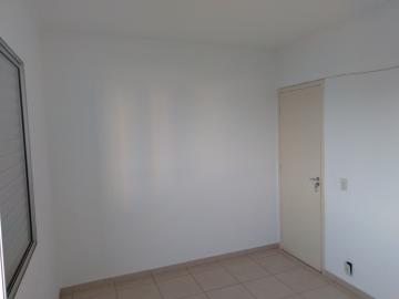 Alugar Apartamento / Cobertura em São José do Rio Preto R$ 1.200,00 - Foto 16