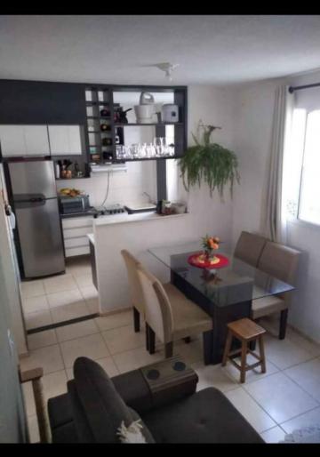 Alugar Apartamento / Padrão em São José do Rio Preto. apenas R$ 163.000,00