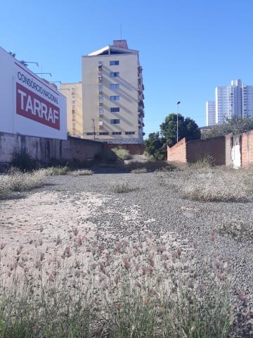 imagem 1 - Terreno - Área imagem 1 - Terreno - Área