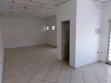 Alugar Comercial / Salão em São José do Rio Preto R$ 8.000,00 - Foto 18