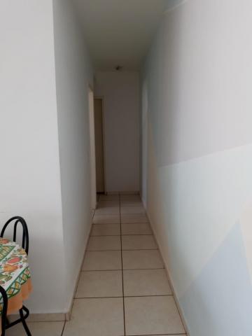Comprar Apartamento / Padrão em São José do Rio Preto R$ 210.000,00 - Foto 6