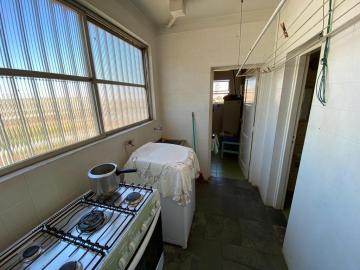 Alugar Apartamento / Padrão em São José do Rio Preto R$ 1.200,00 - Foto 12