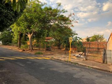 imagem 2 - Terreno - Padrão imagem 2 - Terreno - Padrão