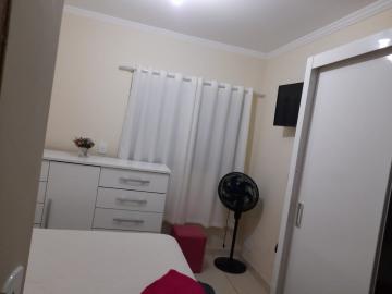 Comprar Casa / Padrão em São José do Rio Preto apenas R$ 550.000,00 - Foto 2