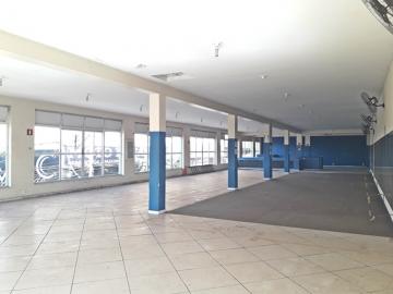 Comercial / Salão em São José do Rio Preto Alugar por R$4.800,00