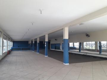 Alugar Comercial / Salão em São José do Rio Preto R$ 4.800,00 - Foto 2