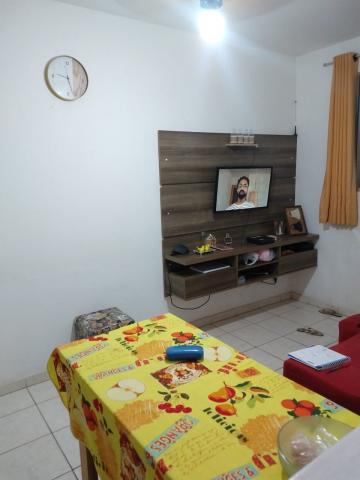 Apartamento / Padrão em São José do Rio Preto 