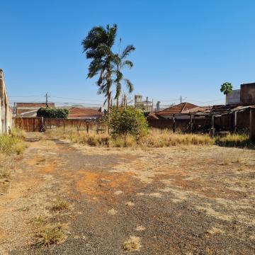 Terreno / Área em São José do Rio Preto 