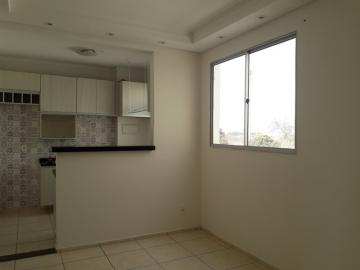 imagem 3 - Apartamento - Padrão imagem 3 - Apartamento - Padrão