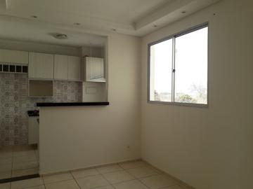 Alugar Apartamento / Padrão em São José do Rio Preto R$ 850,00 - Foto 3