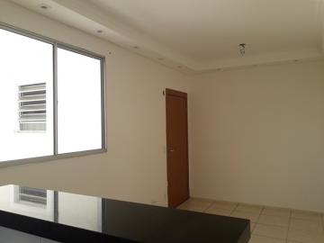 Alugar Apartamento / Padrão em São José do Rio Preto apenas R$ 850,00 - Foto 2