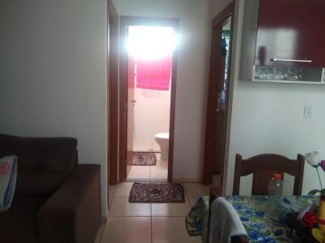 imagem 4 - Apartamento 02 dormitórios Parque Rio das Flores imagem 4 - Apartamento 02 dormitórios Parque Rio das Flores