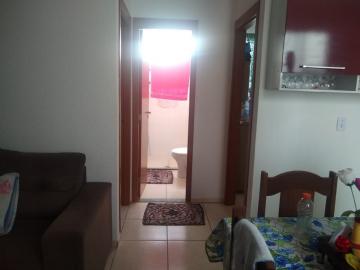 Comprar Apartamento / Padrão em São José do Rio Preto R$ 170.000,00 - Foto 4