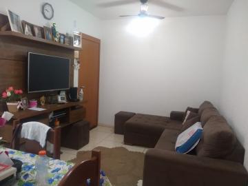 imagem 2 - Apartamento 02 dormitórios Parque Rio das Flores imagem 2 - Apartamento 02 dormitórios Parque Rio das Flores