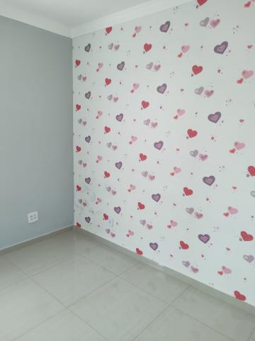 Alugar Apartamento / Padrão em São José do Rio Preto R$ 800,00 - Foto 5