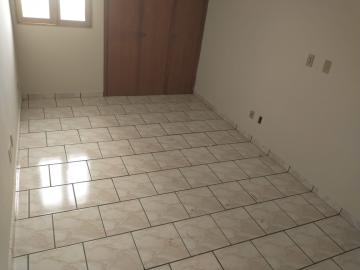 Alugar Apartamento / Padrão em São José do Rio Preto apenas R$ 700,00 - Foto 1