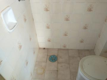 Alugar Apartamento / Padrão em São José do Rio Preto apenas R$ 700,00 - Foto 3