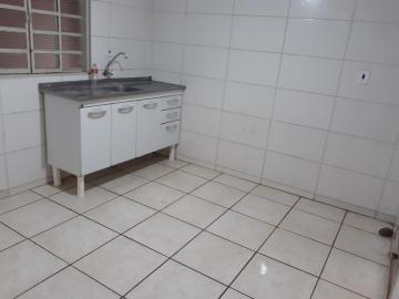 Alugar Casa / Padrão em São José do Rio Preto R$ 900,00 - Foto 4