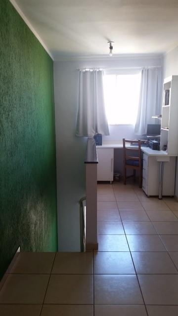 Comprar Apartamento / Cobertura em São José do Rio Preto apenas R$ 260.000,00 - Foto 4
