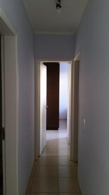 Comprar Apartamento / Cobertura em São José do Rio Preto R$ 260.000,00 - Foto 9