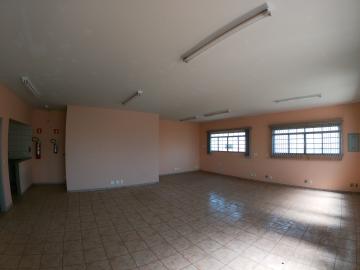 imagem 3 - Salao Comercial Locação Vila Diniz imagem 3 - Salao Comercial Locação Vila Diniz