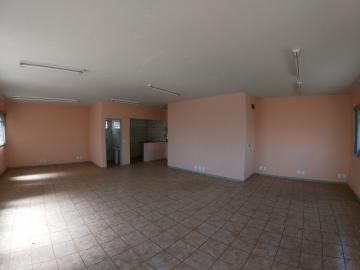 imagem 4 - Salao Comercial Locação Vila Diniz imagem 4 - Salao Comercial Locação Vila Diniz