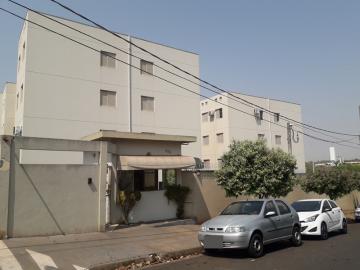 imagem 1 - Macede Teles/ Parque Das Flores II- Apartamento com 3 dormitórios imagem 1 - Macede Teles/ Parque Das Flores II- Apartamento com 3 dormitórios