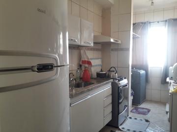 imagem 3 - Macede Teles/ Parque Das Flores II- Apartamento com 3 dormitórios imagem 3 - Macede Teles/ Parque Das Flores II- Apartamento com 3 dormitórios