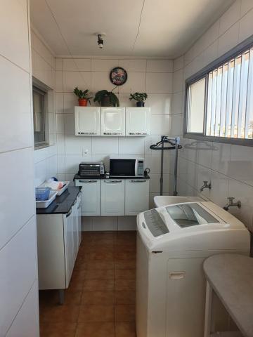imagem 3 - Apartamento - Padrão imagem 3 - Apartamento - Padrão