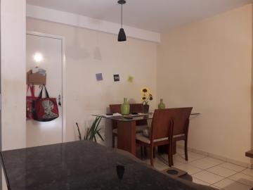 imagem 5 - Apartamento - Padrão imagem 5 - Apartamento - Padrão
