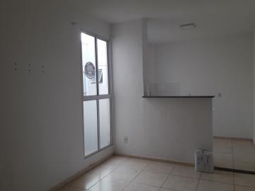 imagem 4 - Apartamento 02 dormitórios Condomínio Rio Araguaia Residencial Santa Filomena imagem 4 - Apartamento 02 dormitórios Condomínio Rio Araguaia Residencial Santa Filomena