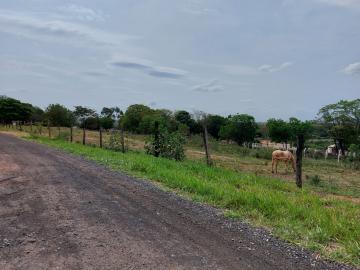 imagem 3 - Chácara à venda, dentro da cidade de Bady Bassit imagem 3 - Chácara à venda, dentro da cidade de Bady Bassit