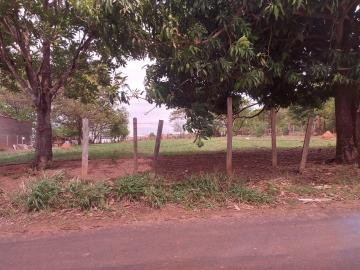 imagem 2 - Chácara à venda, dentro da cidade de Bady Bassit imagem 2 - Chácara à venda, dentro da cidade de Bady Bassit