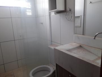 Alugar Apartamento / Padrão em São José do Rio Preto R$ 820,00 - Foto 10