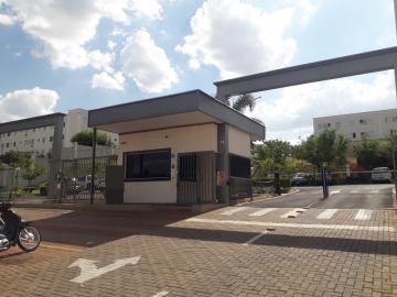 imagem 1 - RIO SALSO - Apartamento com 2 dormitórios para Venda imagem 1 - RIO SALSO - Apartamento com 2 dormitórios para Venda