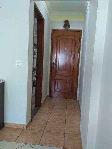 Comprar Apartamento / Padrão em São José do Rio Preto apenas R$ 370.000,00 - Foto 31