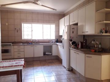 imagem 4 - Cedral - SP imagem 4 - Cedral - SP