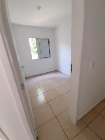 imagem 5 - Apartamento no Jardim Bosque das Vivendas no Condomínio Spazio Rio Colorado imagem 5 - Apartamento no Jardim Bosque das Vivendas no Condomínio Spazio Rio Colorado