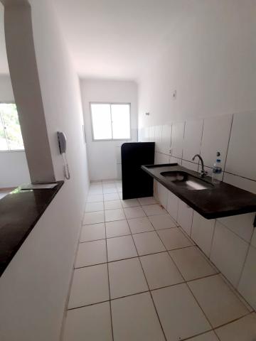 imagem 4 - Apartamento no Jardim Bosque das Vivendas no Condomínio Spazio Rio Colorado imagem 4 - Apartamento no Jardim Bosque das Vivendas no Condomínio Spazio Rio Colorado