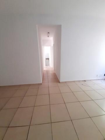 imagem 3 - Apartamento no Jardim Bosque das Vivendas no Condomínio Spazio Rio Colorado imagem 3 - Apartamento no Jardim Bosque das Vivendas no Condomínio Spazio Rio Colorado